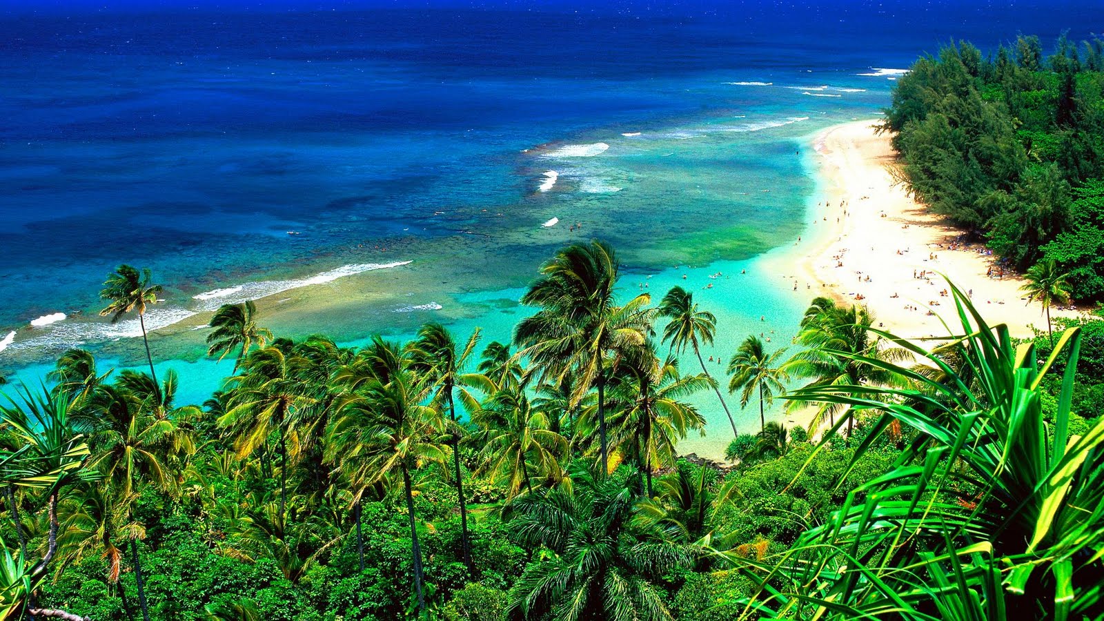 https://blogger.googleusercontent.com/img/b/R29vZ2xl/AVvXsEia-526XOFpAAljRdy5u5tLPnYVUYHdHebEUvqSr6l08UCGuQ9V6QIBD0CKzioYJt8MoCY3O0cJQPu7541BPkgReWu6WV1HhMTAHZvYS3DlFyFf0c24YwkmZ4DOghBxIU3pUlzkP2vPZSf1/s1600/Kee+Beach%252C+Kauai%252C+Hawaii.jpg