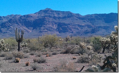 IMAG0164