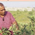 रायपुर : विशेष लेख : मुख्यमंत्री की पहल पर छत्तीसगढ़ के युवा किसान कर रहे हैं खेती में नवाचार