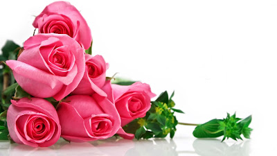 nice-roses-flowers-images-photos