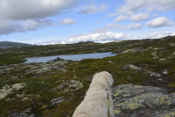 bergsjø vats hallingdal