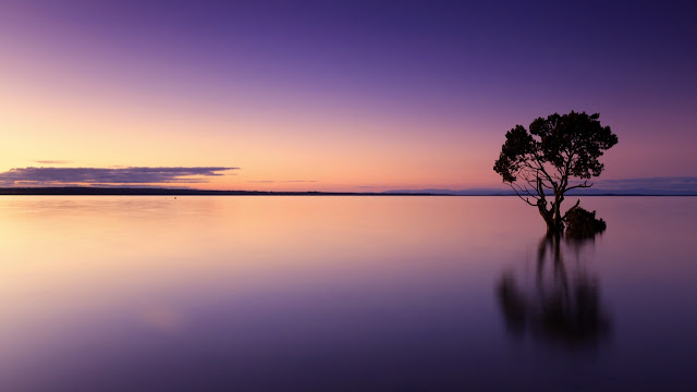 Scenic View of Sea Against Sky at Sunset