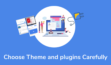 Choosing Theme and Plugins