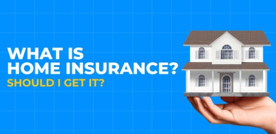  Where are Our Home Insurance Assets