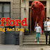 Clifford the Big Red Dog (2021) Full MOvies Watch