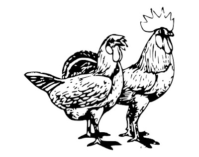 50+ Pencil sketch and Cartoon Images of Chicken