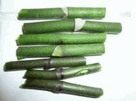 Как размножать орхидею фаленопсис 5