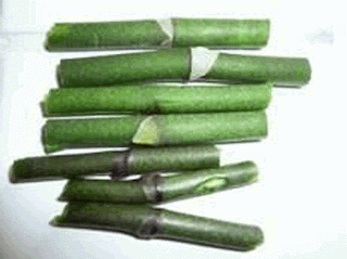 Как размножать орхидею фаленопсис 5