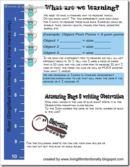 Why do we need standard units of measurement? Concept & Activity Page