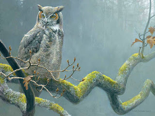 In the Oak - Great-Horned Owl