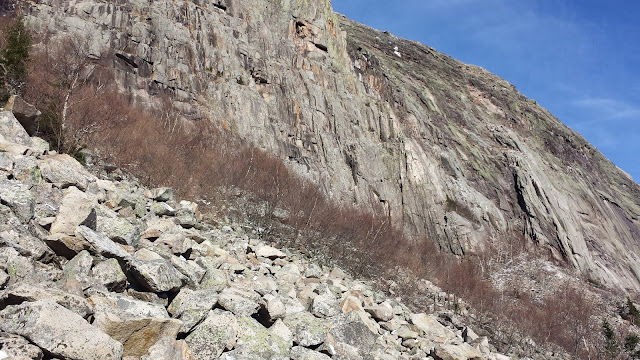 Cannon Cliffs loop bushwhack, Cannon Mountain, Franconia Notch State Park