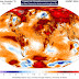 Arctic Ocean Heatstroke