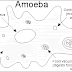  Amoeba