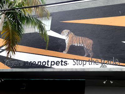 Tigers exotic animals graffiti art Wynwood Walls