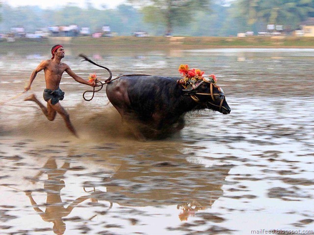 stunning natgeo pic3