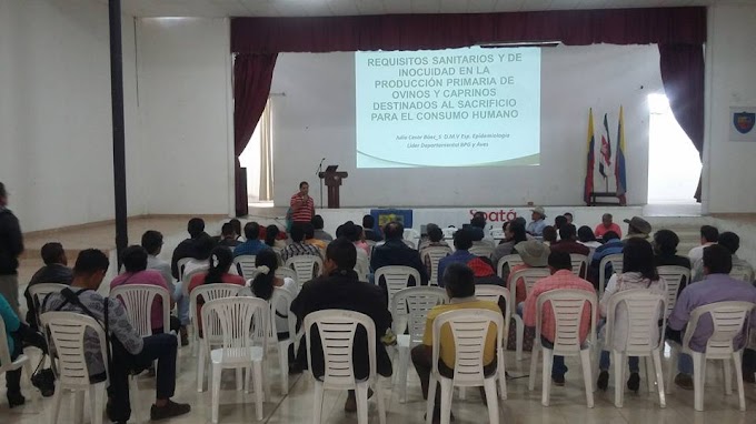 Autoridades sanitarias socializan proyecto piloto de excelencia sanitaria en ovinos y caprinos de Boyacá y Santander