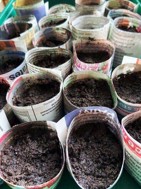 recycled paper pots for seeds