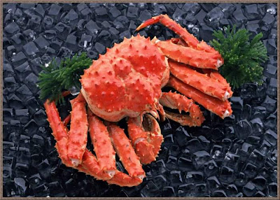 Beautiful ocean fresh seafood Pics