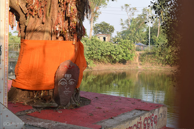 Bata Brukshya at Khirachora Gopinath Temple, Remuna