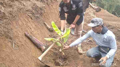 Kepala Desa Purasari Bersama Warga Kp Cadas Gantung RT 01 Menanam Bibit Pohon Pisang