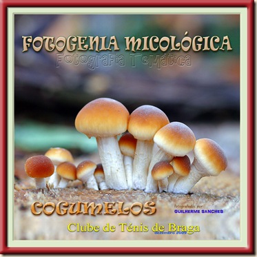 CARTAZ 2 Low