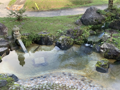 イトウが泳ぐ池