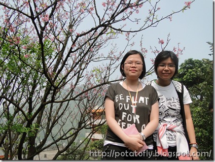 DSC01202