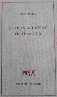 [Poésie-roman] d'un accident d'amour Loïc Demey ****