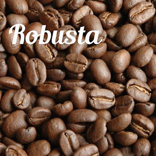 Kopi Robusta