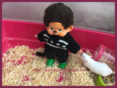 kiki monchhichi souris