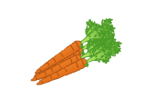 carrot