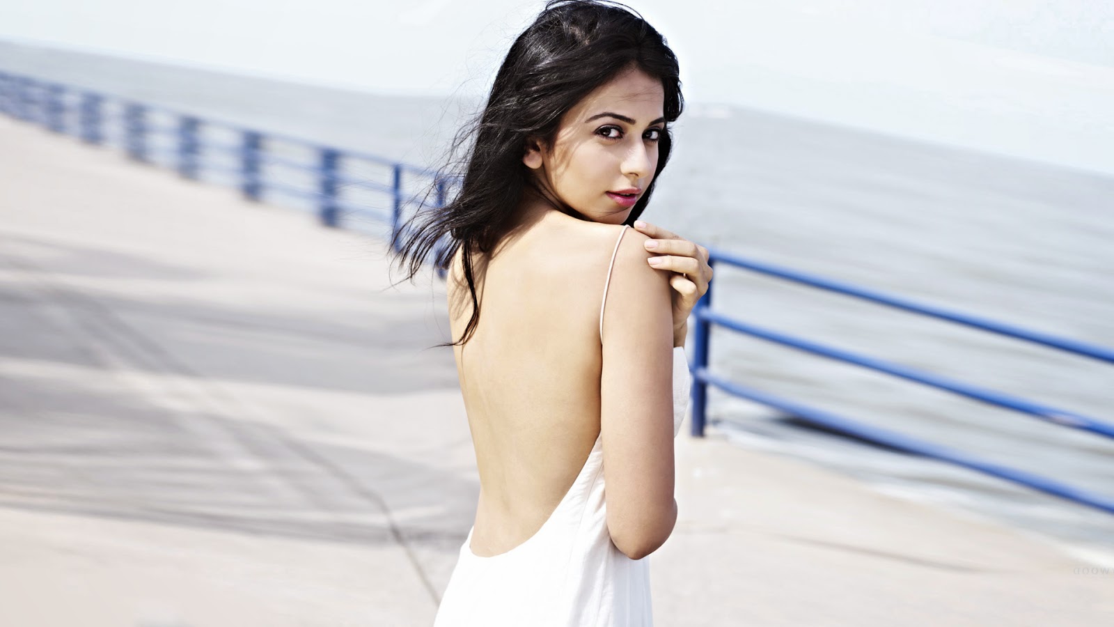 Rakul Preet Singh HD wallpapers Free Download