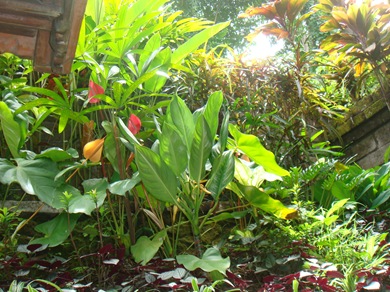 DSC04704