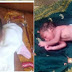 Day-Old-Baby Abandoned in Anambra Rescued By Police