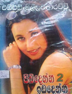 pibidenna idadenna sinhala novel