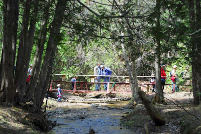 Hiking group in Scout Valley, Orillia