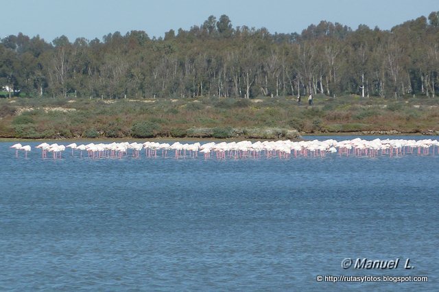 Sendero Salina Carboneros