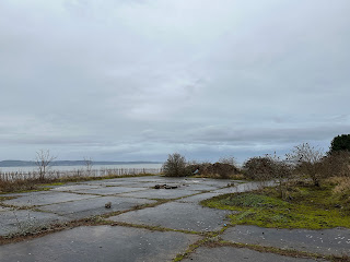 A photo of a view along a flat piece of land to a metal fence.  Behind the fence can be seen the sea and the shores of Fife.  Photo by Kevin Nosferatu for the Skulferatu Project.