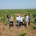 Peralta supervisa proyecto agrícola en Pedernales