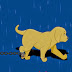 Dog Rescue from Rain