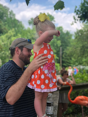 Mother's Day at the Birmingham, Alabama zoo flamingos