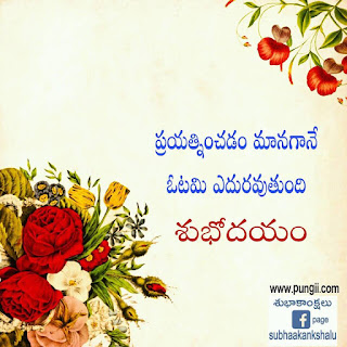 Good Morning Quotes In Telugu Images తెలుగు  గుడ్ మార్నింగ్ కోట్స్ 