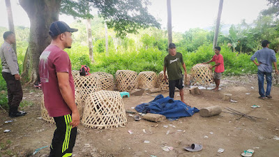 Polsek Labuan Kembali Berhasil Grebek Judi Sabung Ayam di Desa Labuan Toposo.