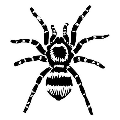 spider-tarantula-tattoo-design