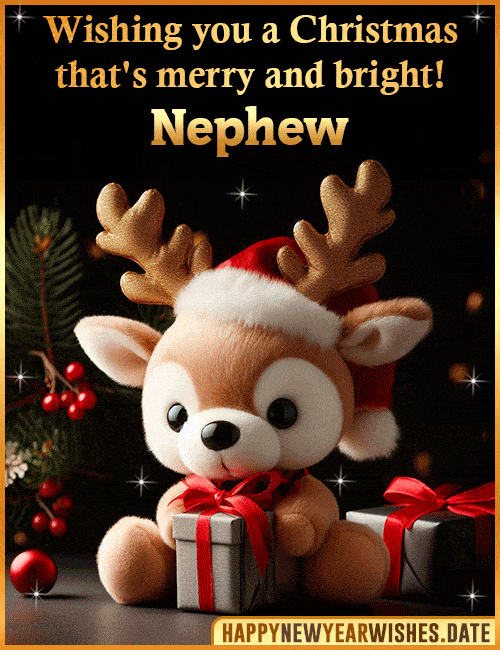 Merry christmas wishes for Nephew