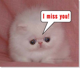 i-miss-you-3