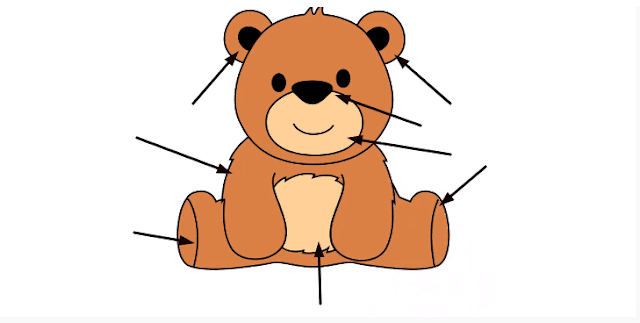 How to draw a bear for kids.