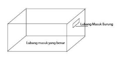 Ukuran Lubang Masuk Rumah Walet Yang Benar - Burung Walet 