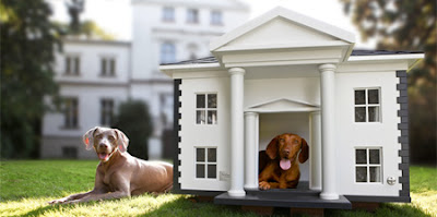 Amazing houses for dogs