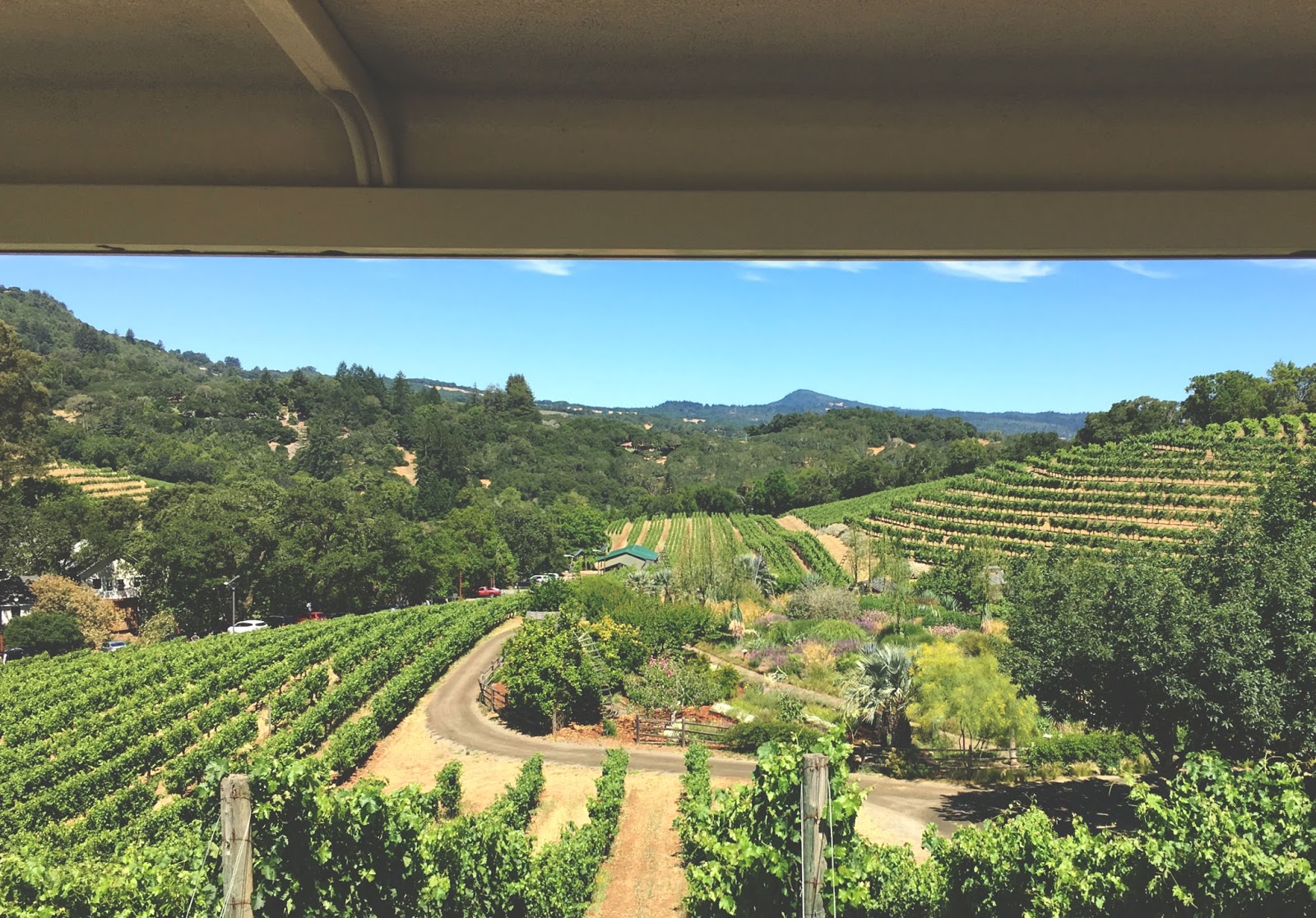 Benziger - a winery in Sonoma, California